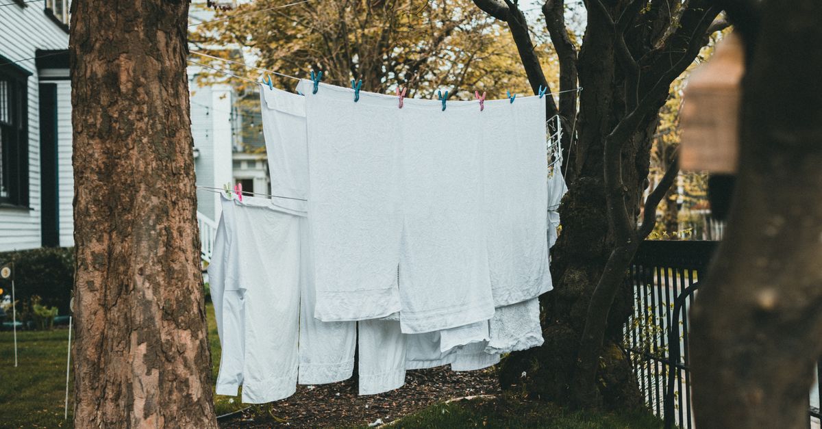 Mehrere weiße Handtücher hängen an einer Wäscheleine zwischen Bäumen im Garten und trocknen im Freien.