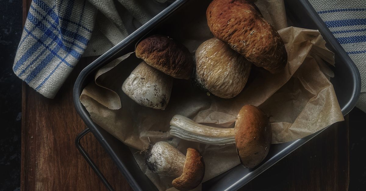Pilze länger frisch halten: So bleiben Champignons, Pfifferlinge & Co. länger genießbar