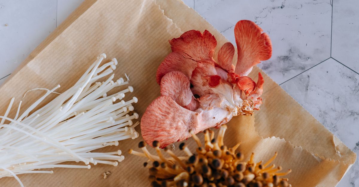 Verschiedene exotische Pilze, darunter rosa Austernpilze und Enoki-Pilze, liegen auf braunem Packpapier auf einer Marmorplatte.