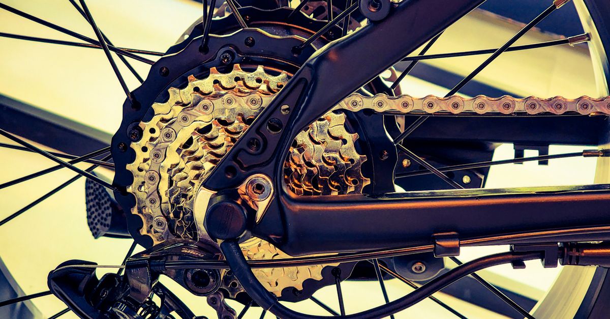 Nahaufnahme einer sauberen Fahrradkette und Kassette am Hinterrad mit sichtbaren Zahnkränzen und Speichen.