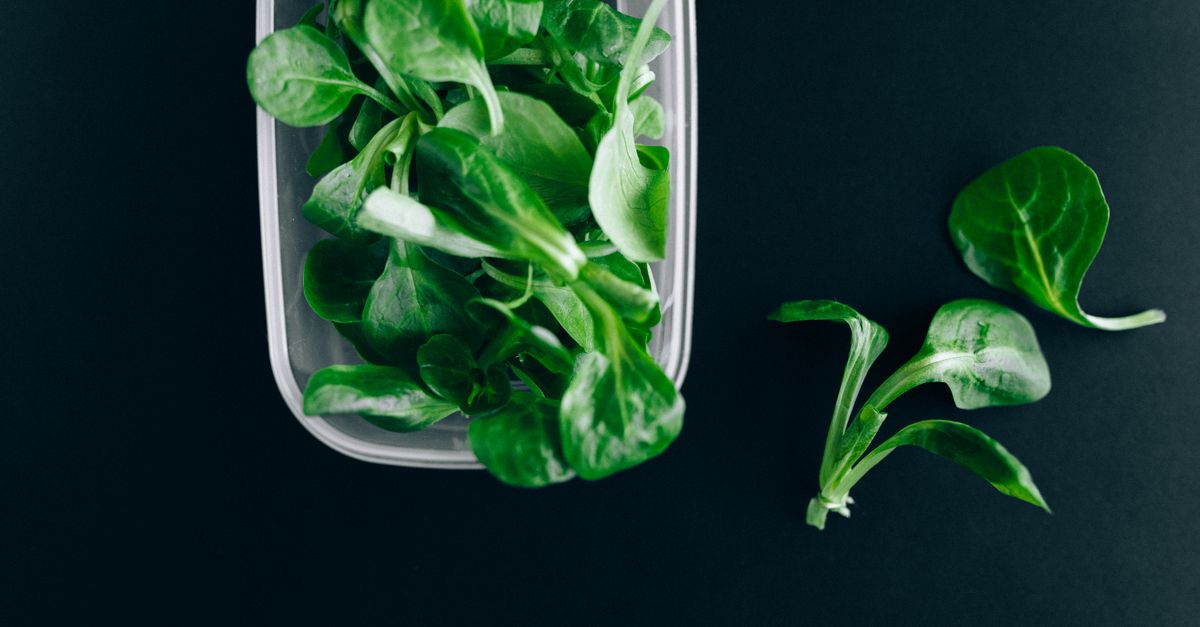 Frischer Feldsalat liegt teilweise in einer durchsichtigen Aufbewahrungsbox, teilweise daneben auf dunklem Untergrund.
